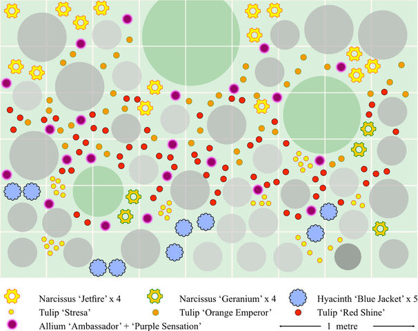 A Bulb Planting Plan