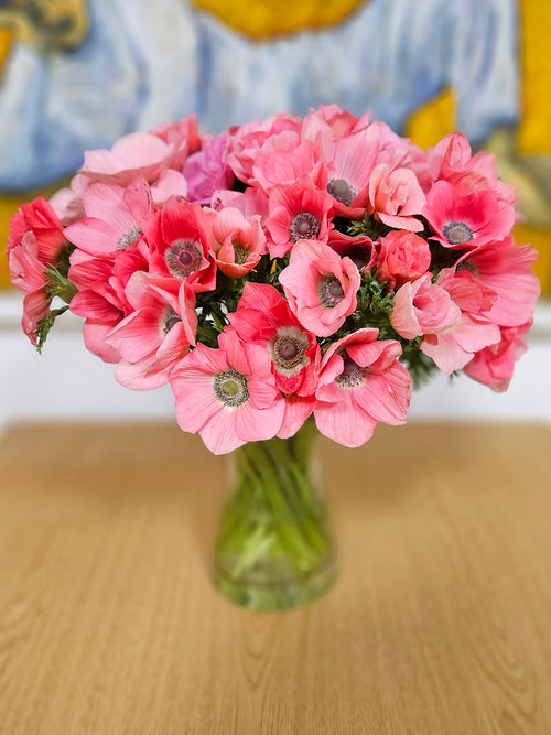Spring-flowering Anemone ‘Barbie’ with dark eye and vivid pink petals.