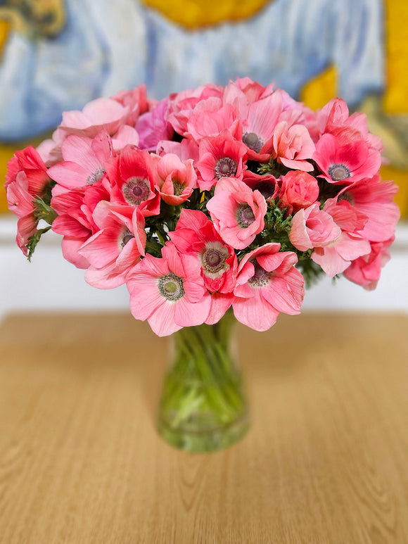 Spring-flowering Anemone ‘Barbie’ with dark eye and vivid pink petals.