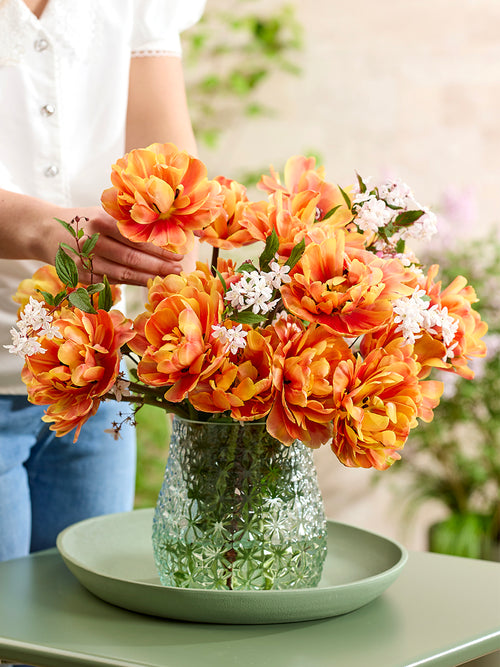 Tulip Oakheart - Tulip Bulbs