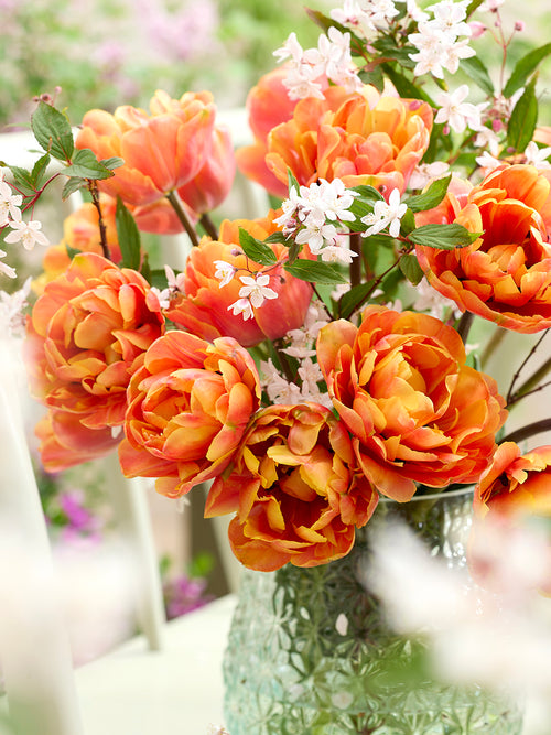 Tulip Flower Bulbs Oakheart