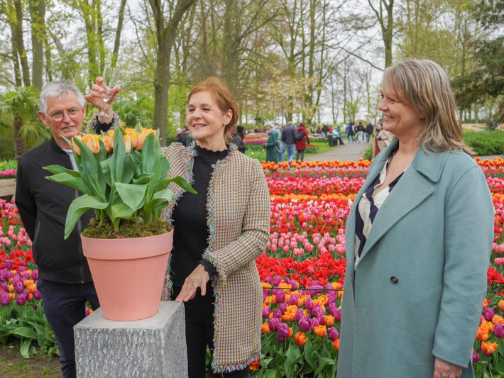 New Tulip Variety Named After King Charles III Unveiled at Keukenhof
