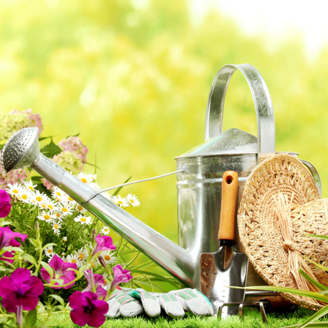 Spring planted bulbs and perennials