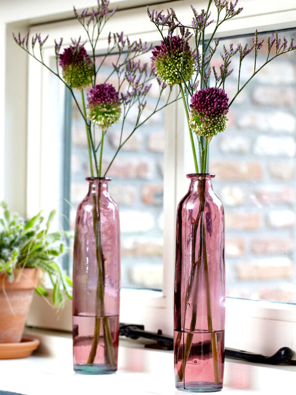 Allium Sphaerocephalon - The Drumstick Allium
