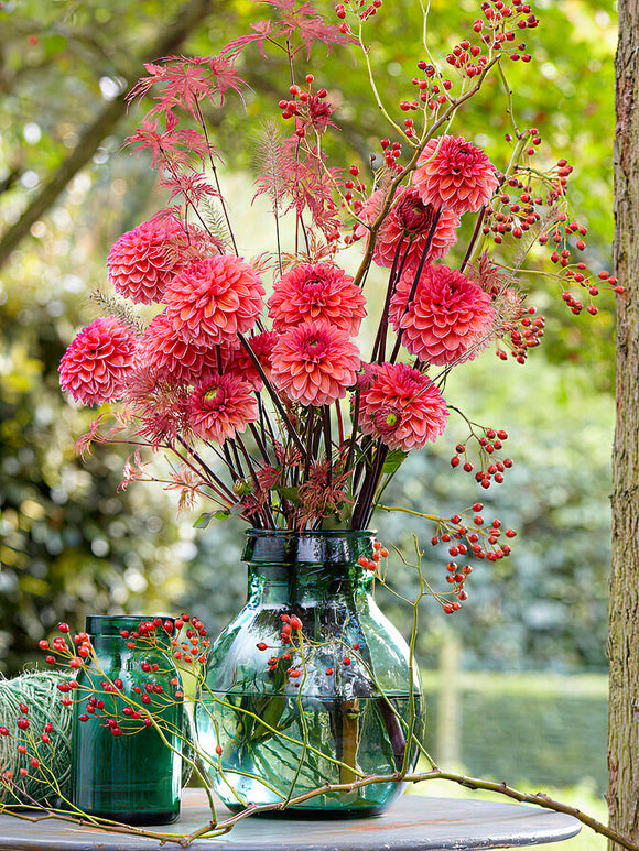 Cut ‘Daisy Duke’ stems in vase