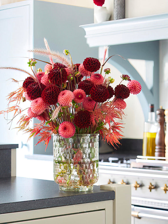 Cut stems of Dahlia ‘Dark Spirit’ in vase
