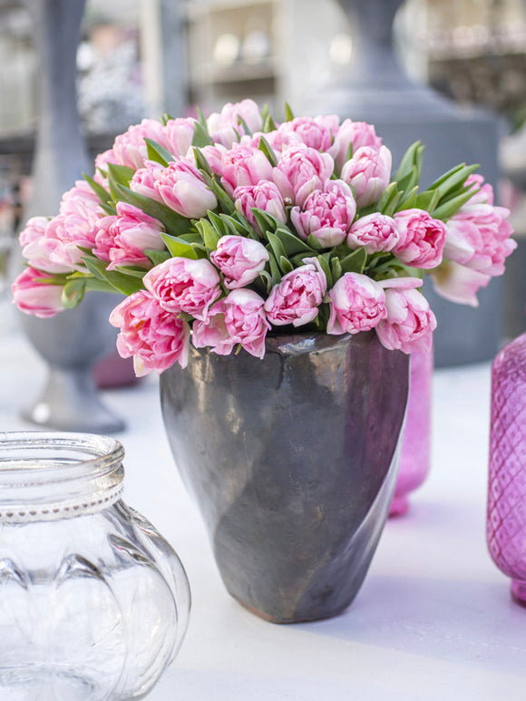 Double Pink Peony Tulip Foxtrot